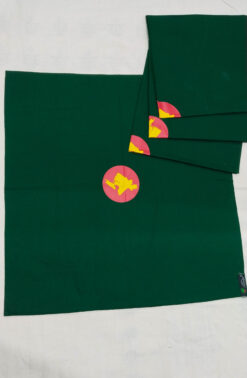 রুমাল-পতাকা-৫